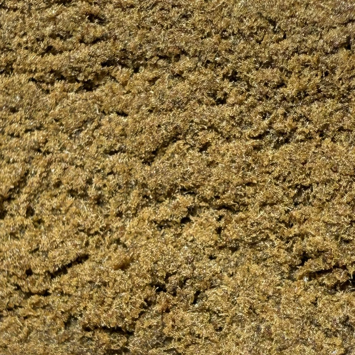 Plaque 4x Filtré CBDX 2.0 40% (Néo-Cannabinoïde)