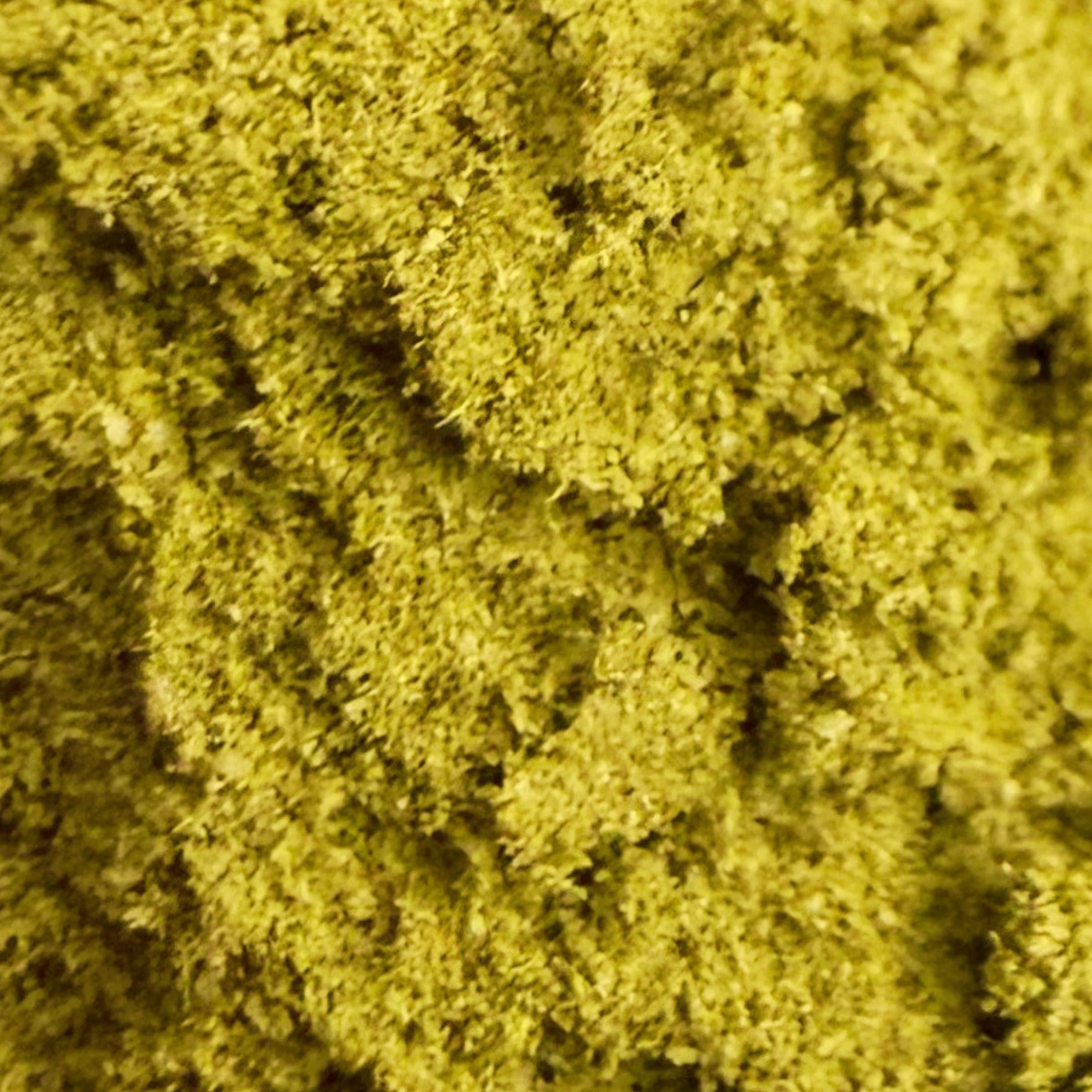 Pollen Gold Power NL-3 40% (Néo-Cannabinoïde)