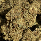 Manjo Mango Kush HPC & CBD 15% - Sans THC - Indoor (Néo-Cannabinoïde)