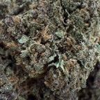 Sapphire Purple 15% CBD - Indoor