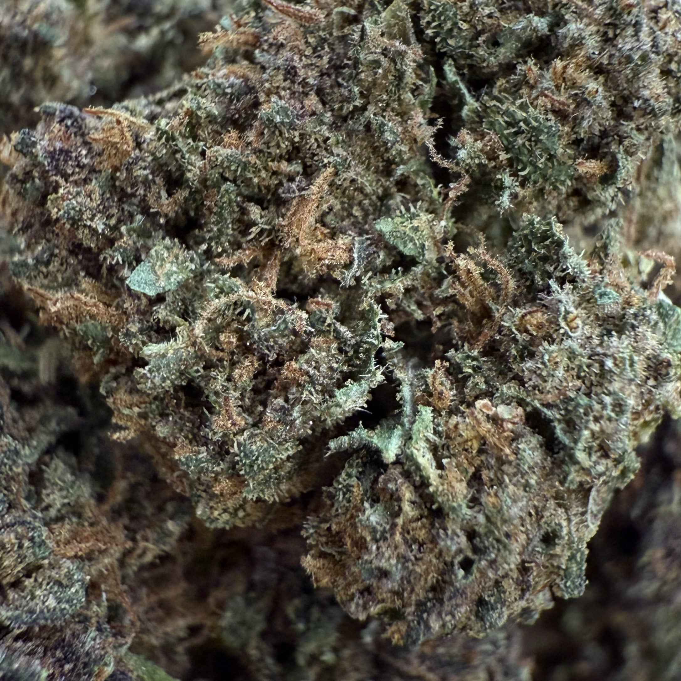 Sapphire Purple 15% CBD - Indoor