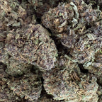 Sapphire Purple 15% CBD - Indoor