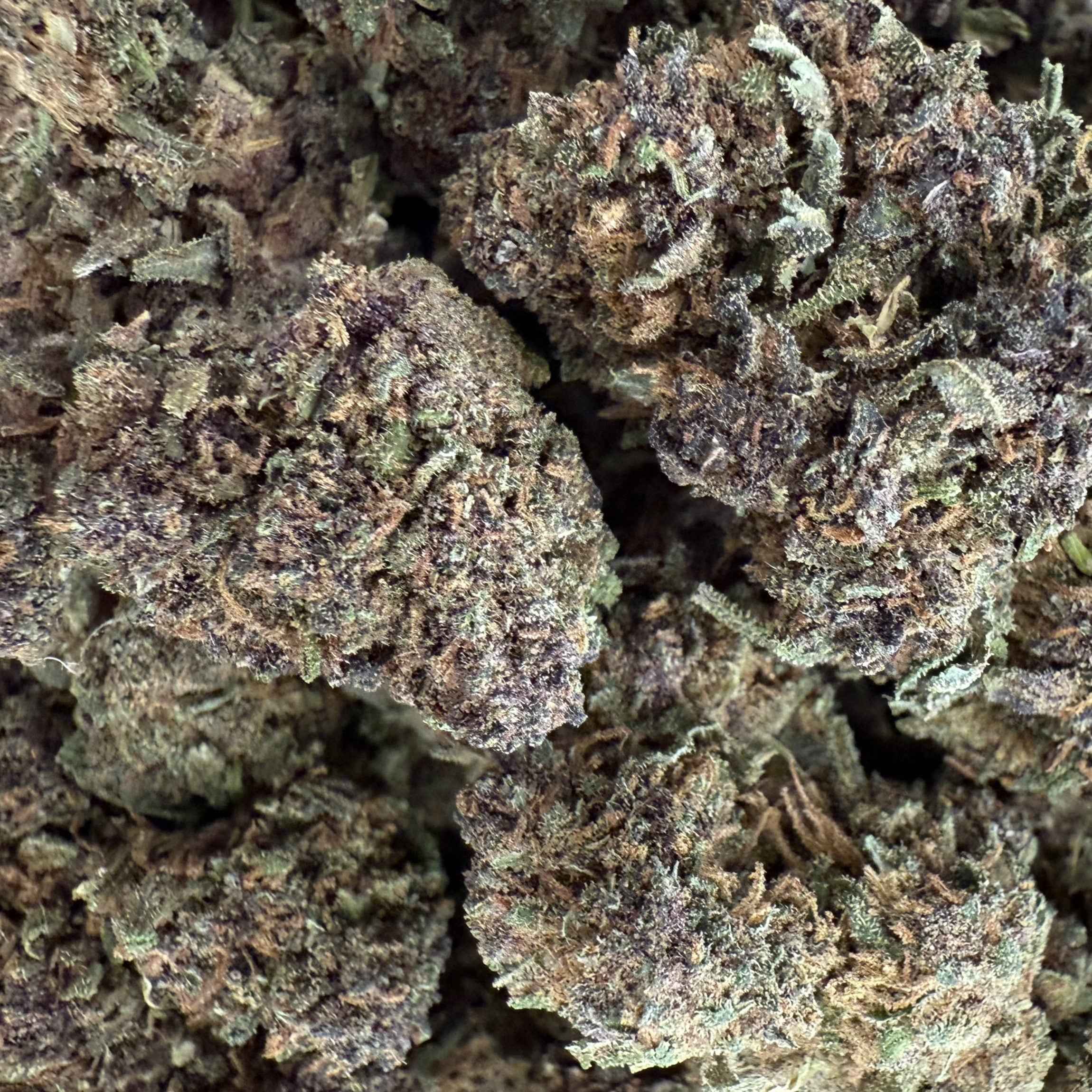 Sapphire Purple 15% CBD - Indoor