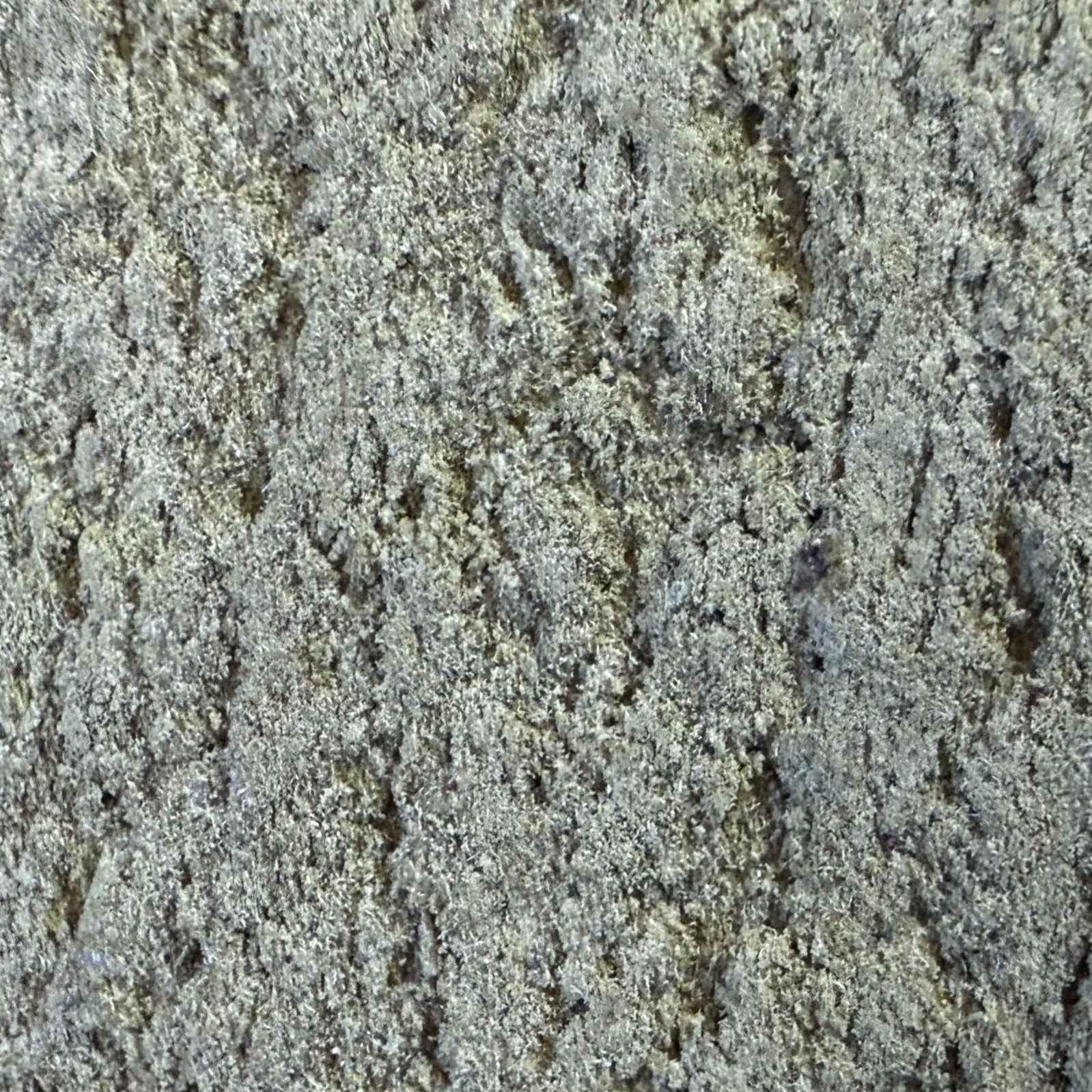 Dry Sift Amnésia CBD 20% - Indoor