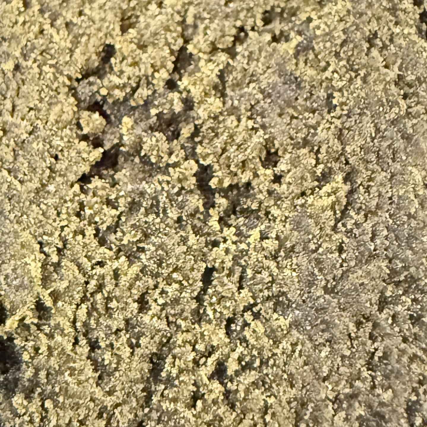 Black Butter 70% CBD/CBG/CBN