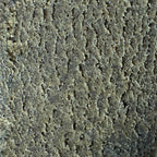 Nepal Cream HE+ 40% - Sans THC (Néo-Cannabinoïde)