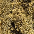 Double Static THCV 60% (Néo-Cannabinoïde)