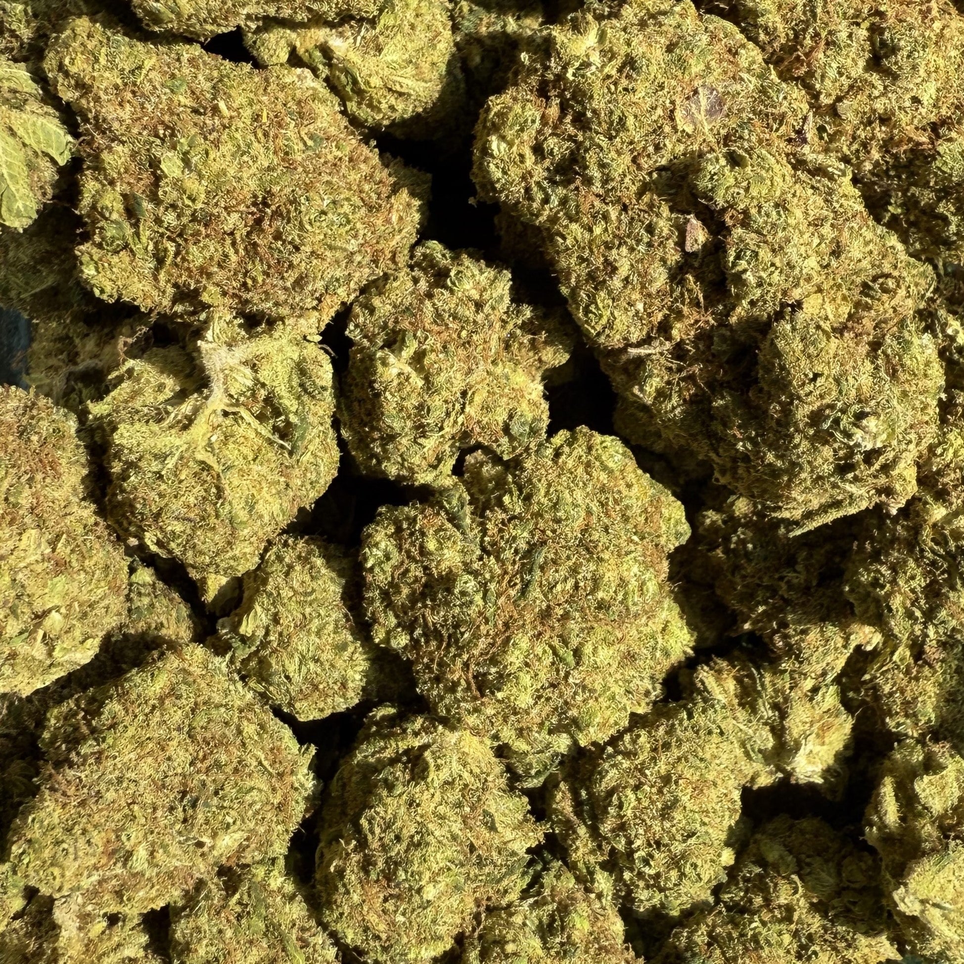 Cali US La Confidential CBD 20% - Hydro