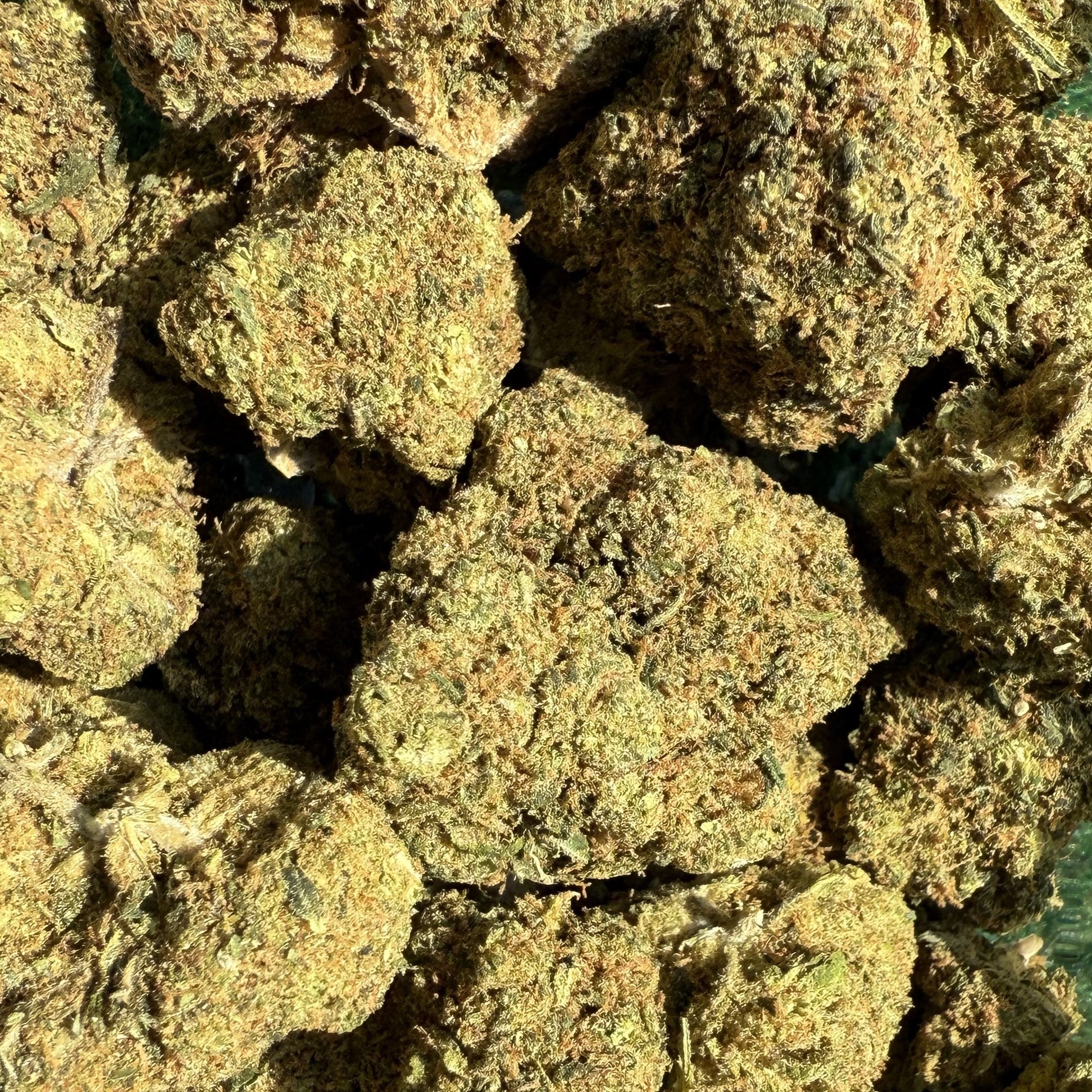 Cali US Gelato CBD 20% - Hydro