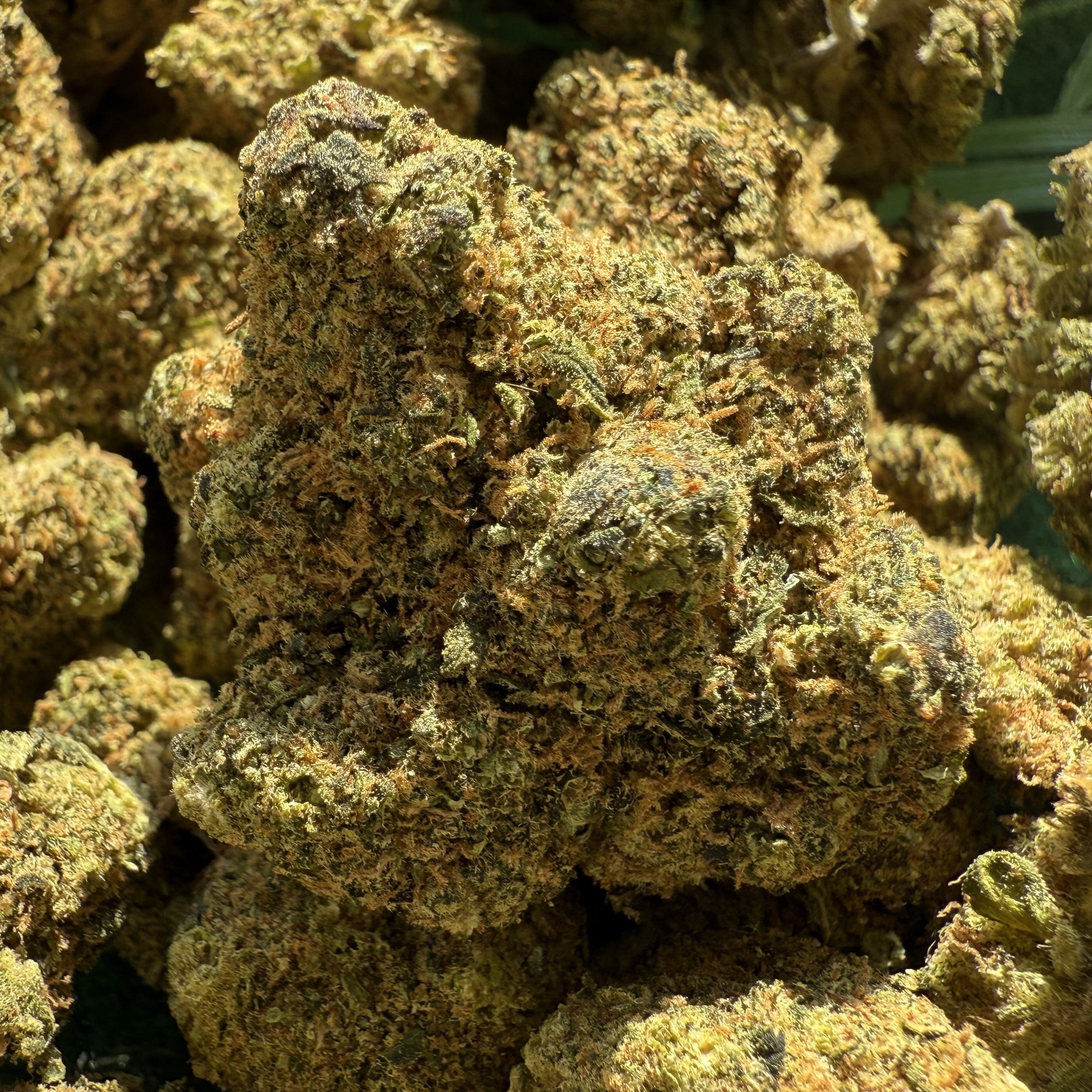 Cali US Gelato CBD 20% - Hydro