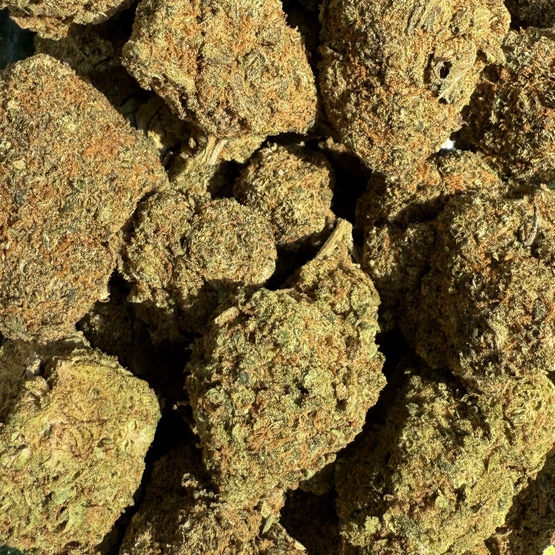 Cali US Zkittlez CBD 20% - Hydro