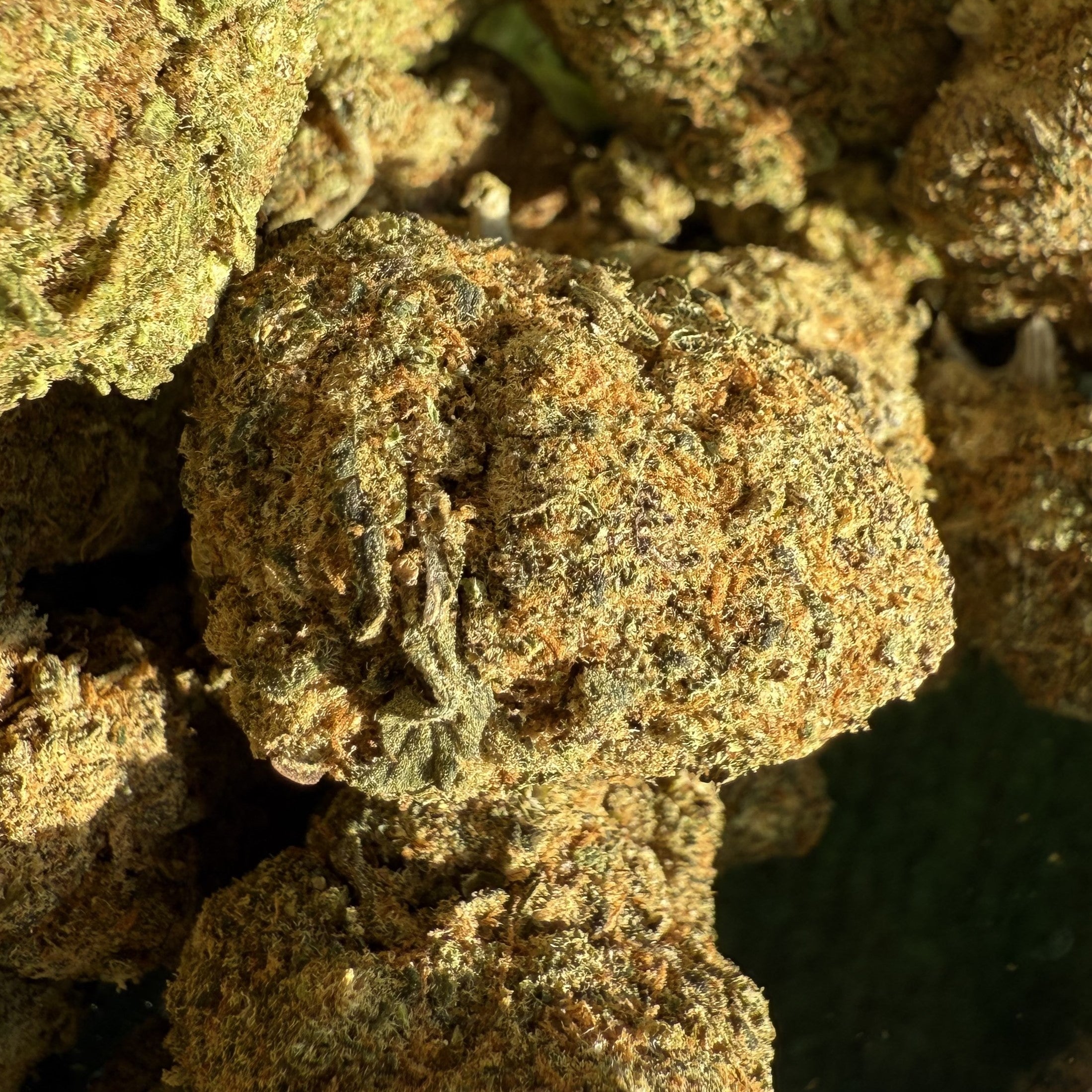 Cali US Zkittlez CBD 20% - Hydro