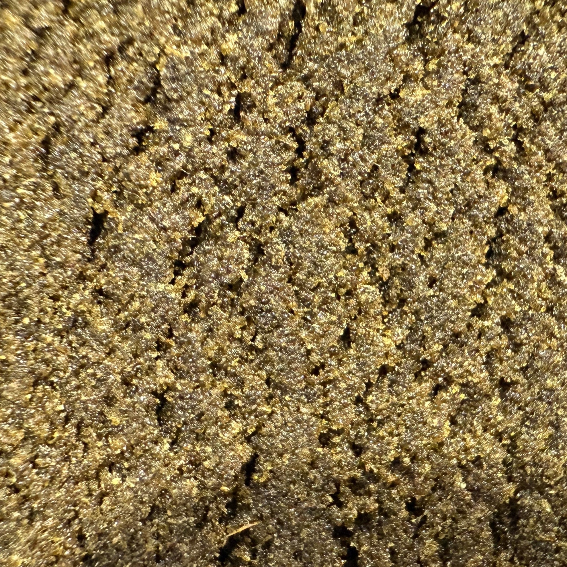 Dry Sift Amnesia CBD 20% - Indoor