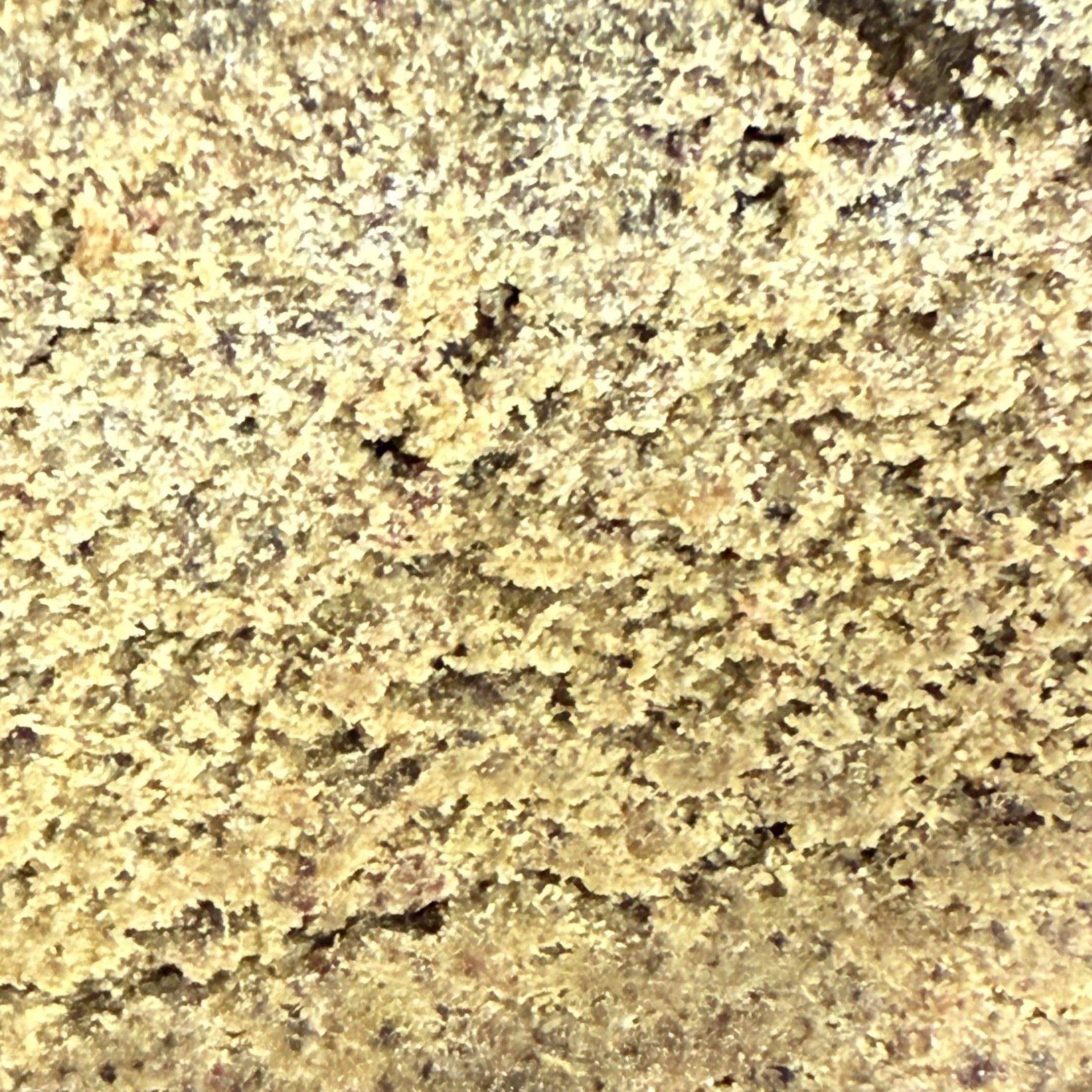 Dry Sift Amnesia CBD 20% - Indoor