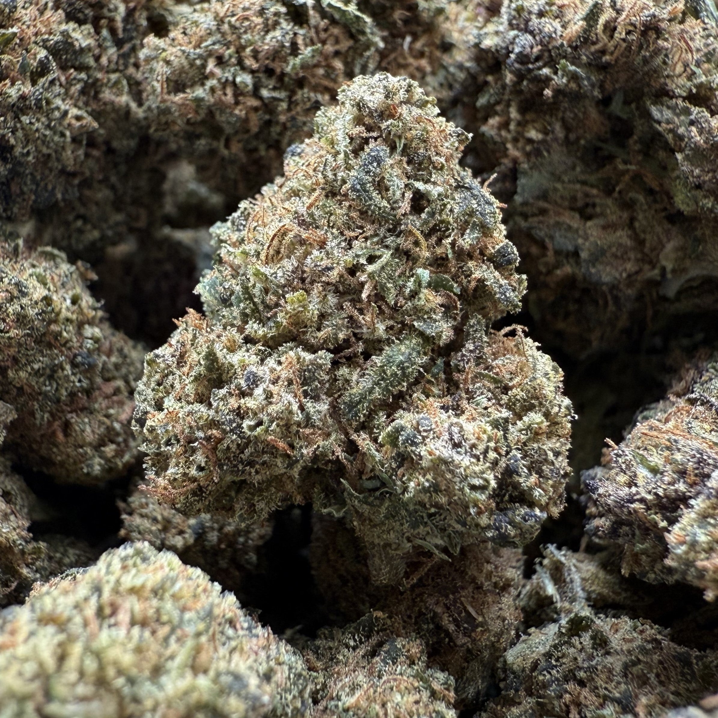 New York Diesel 15% CBD - GreenHouse
