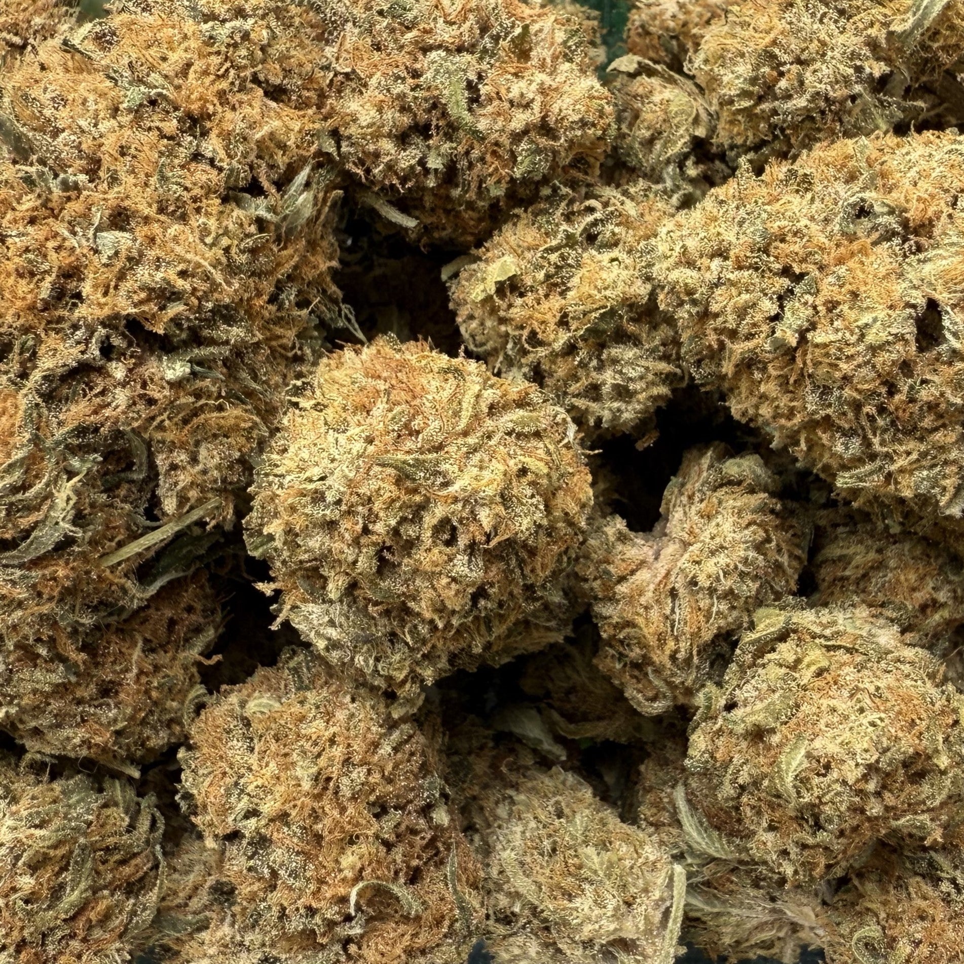 White Orange Bud 15% CBG - GreenHouse