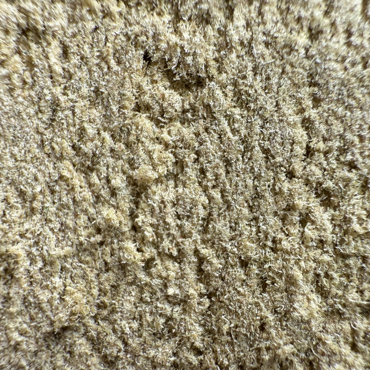 Cali US Dry Sift Forbidden Fruit 20% CBD
