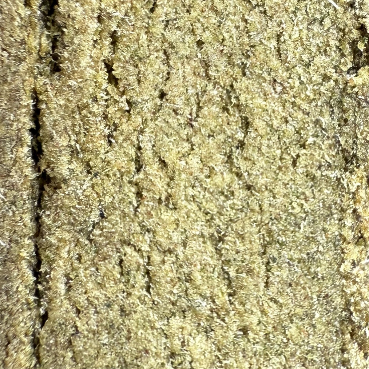 Cali US Static Green Candy CBD 27%