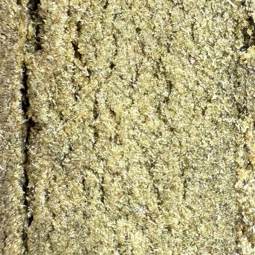 Dry Sift Amnesia CBD 20% - Indoor