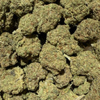 100G Malabar CBD 20% - Indoor