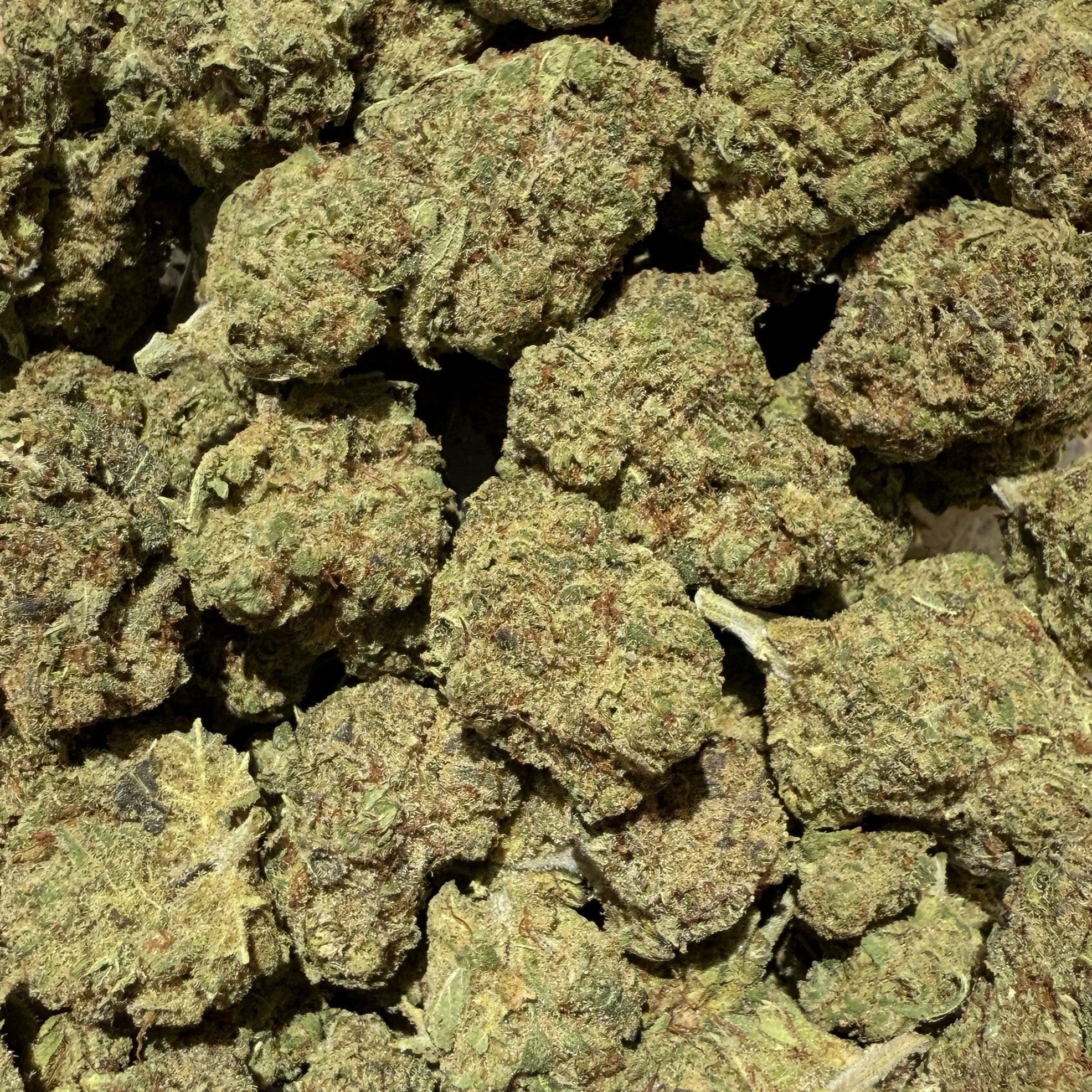 Malabar CBD 20% - Indoor