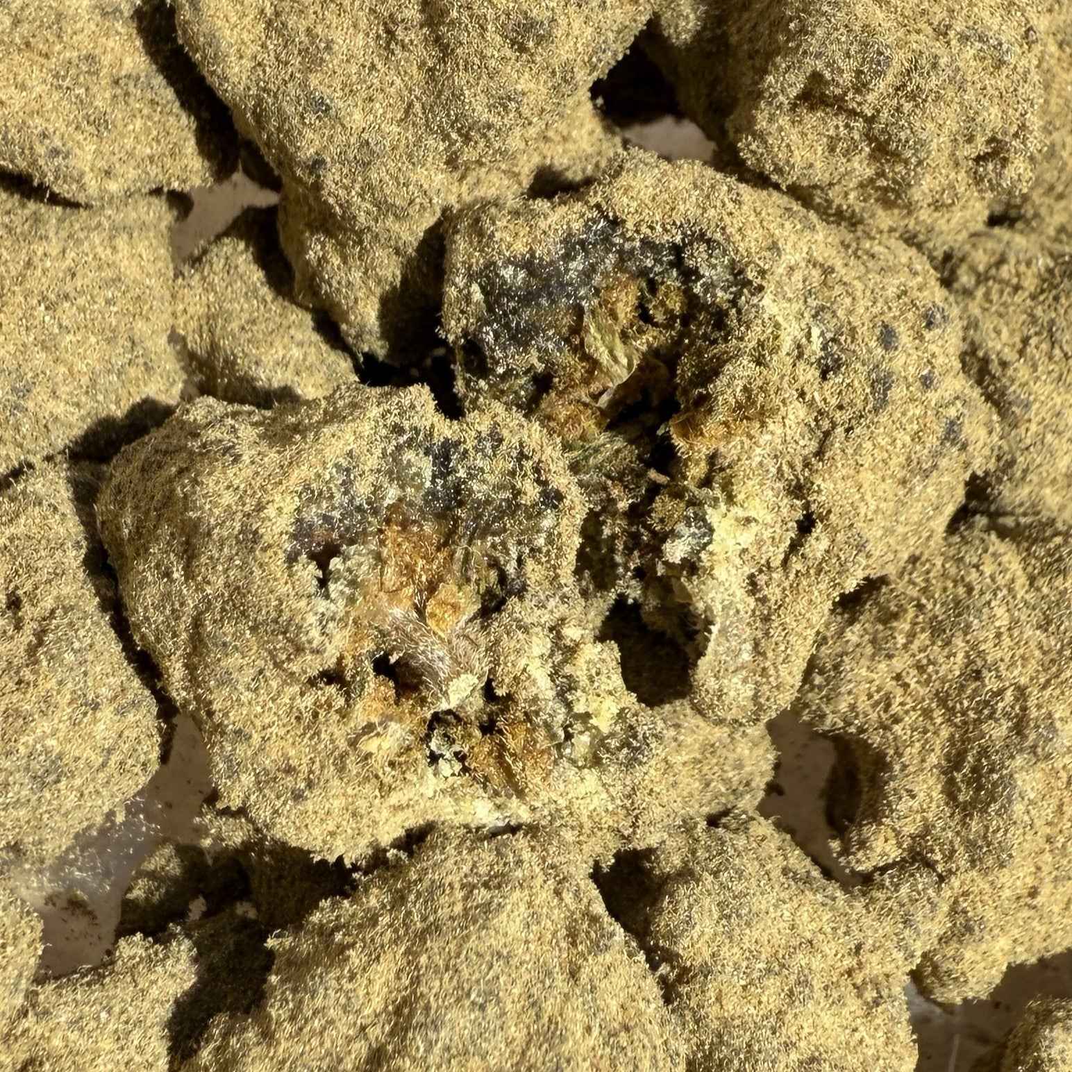 Moon Rock CBD 50% - Live Resin