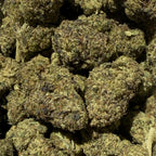 100G Purple Mango OG CBDX 2.0 30% - Hydroponique (Néo-Cannabinoïde)