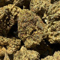 Skywalker CBD 15% - Sans THC - Indoor