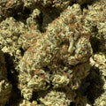 USA Sunset CBG 20% - Indoor