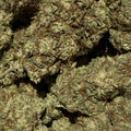 100G USA Sunset CBG 20% - Indoor