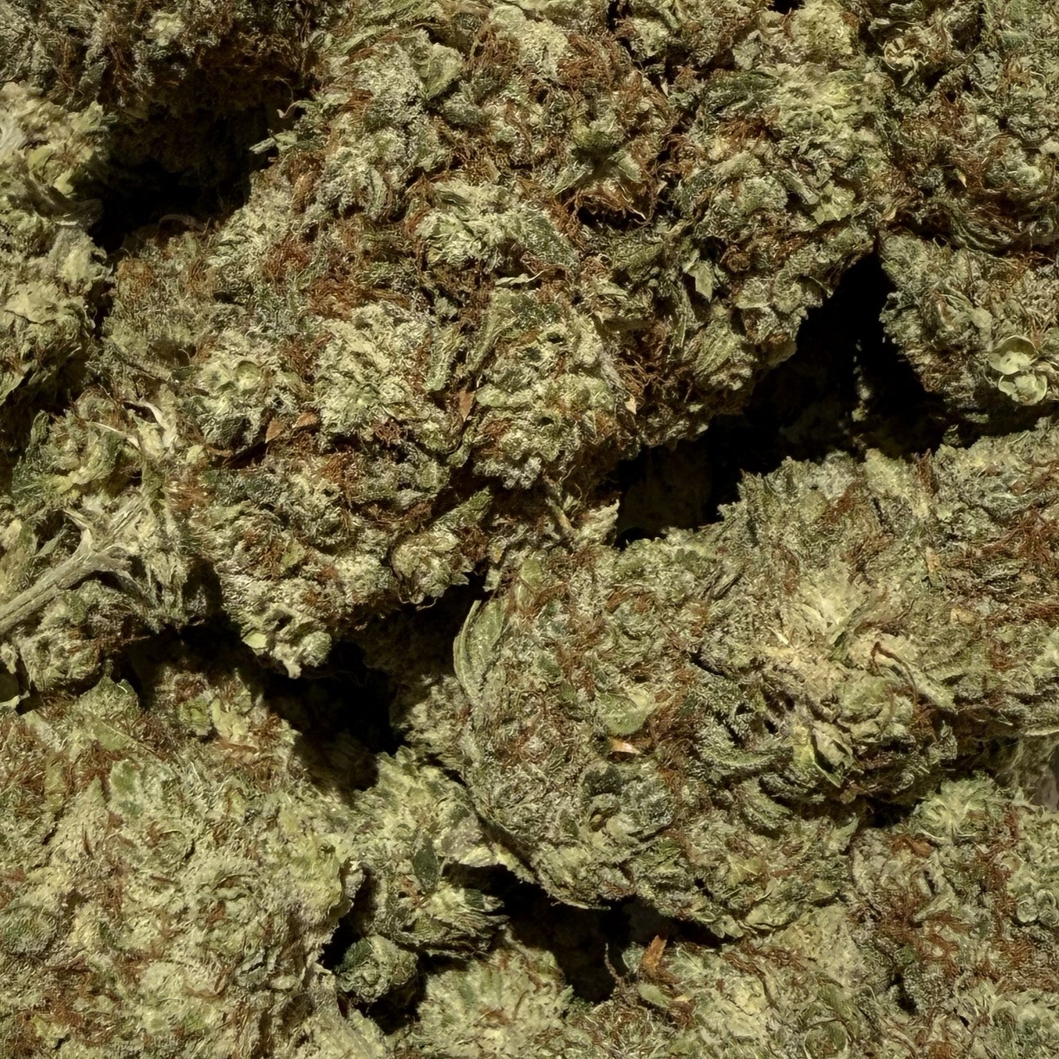 USA Sunset CBG 20% - Indoor