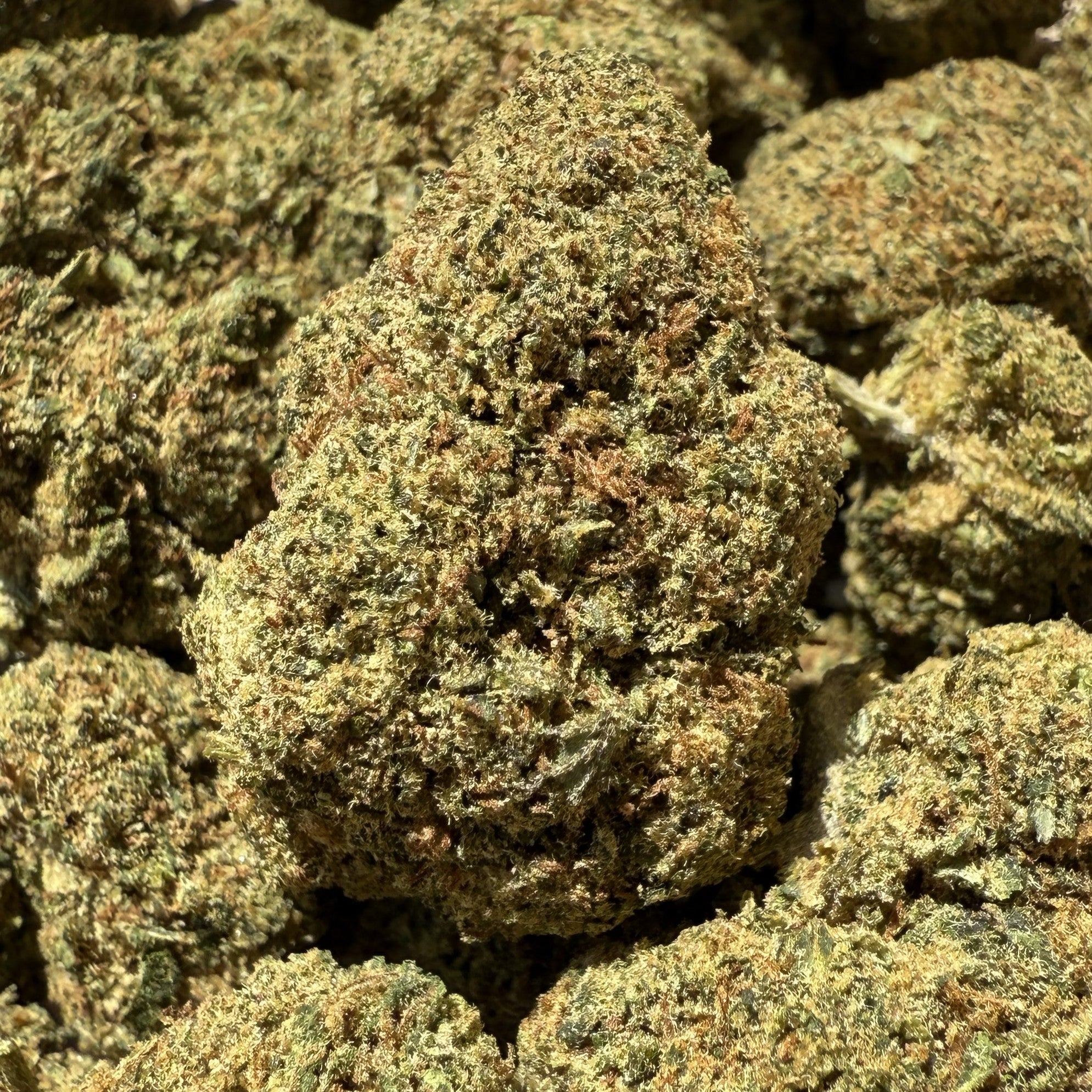 USA Super Special Sauce CBD 20% - Indoor