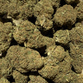 100G USA Super Special Sauce CBD 20% - Indoor