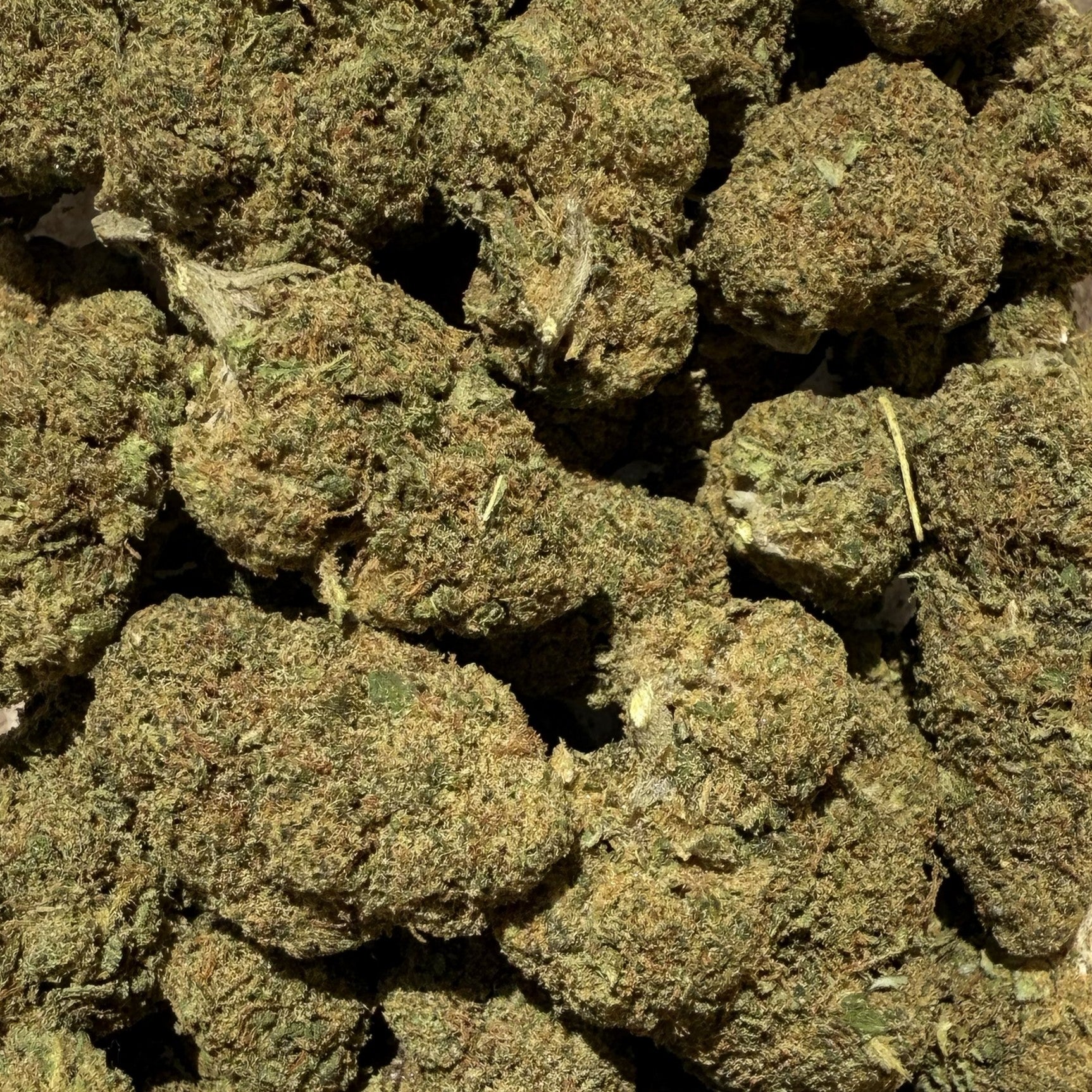 USA Super Special Sauce CBD 20% - Indoor