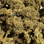 Acapulco HPC et CBD 15% - Sans THC - Indoor (Néo-Cannabinoïde)