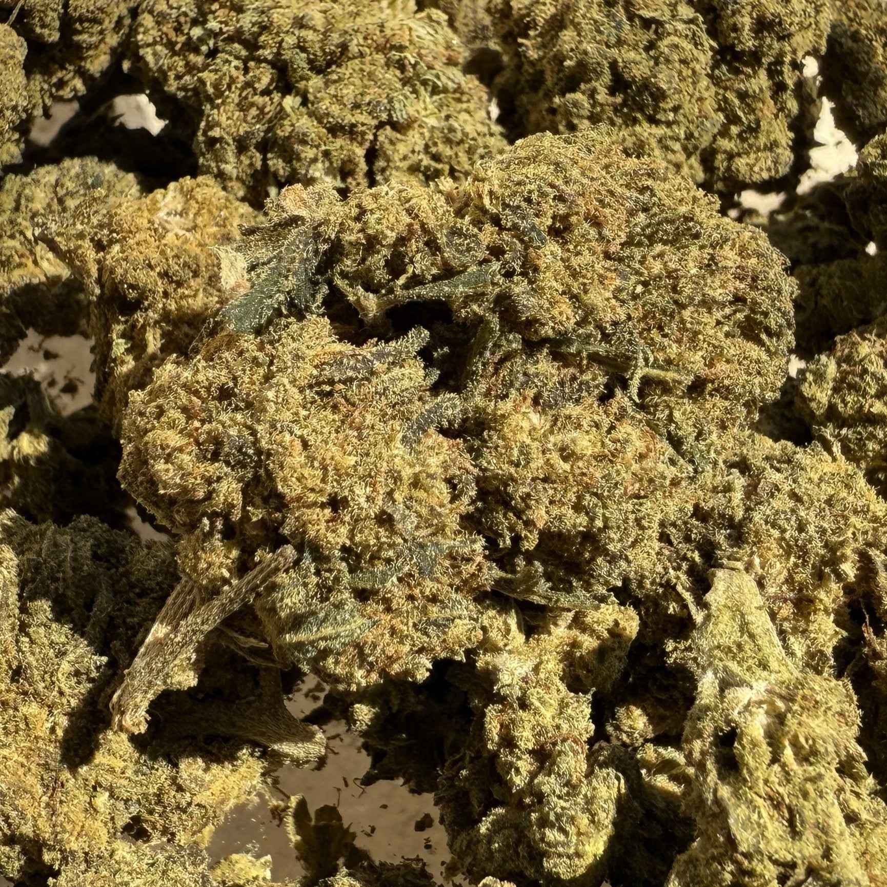 Acapulco HPC et CBD 15% - Sans THC - Indoor (Néo-Cannabinoïde)