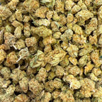Amnesia Small Bud CBD 15% - Hydroponique