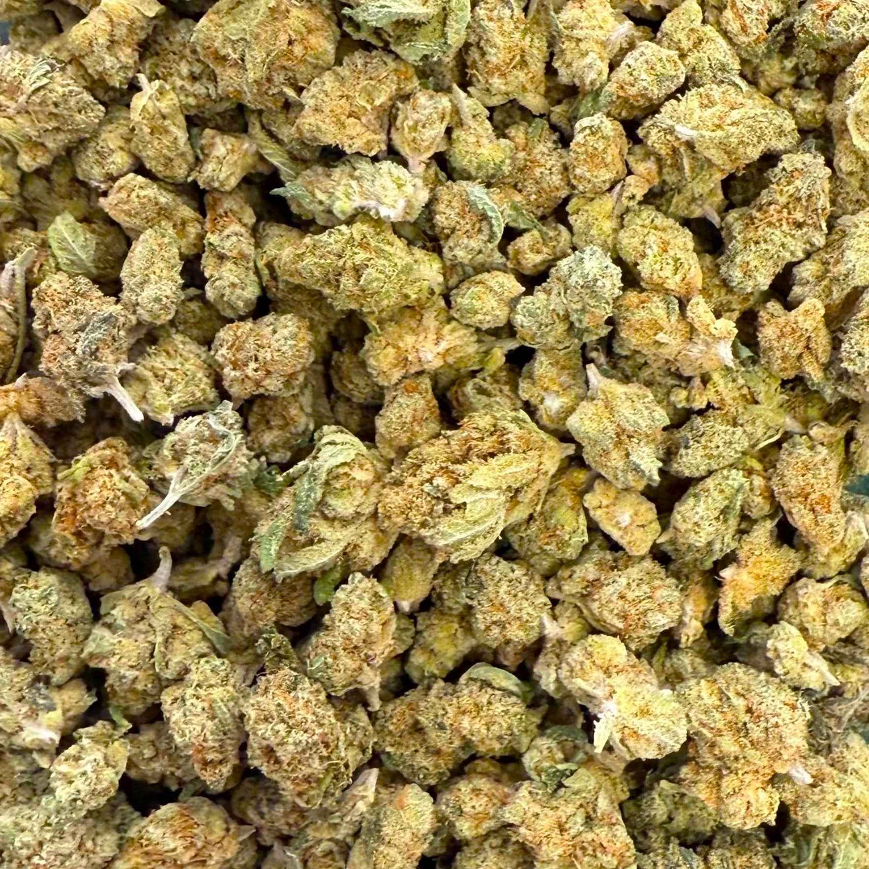 Amnesia Small Bud CBD 15% - Hydroponique