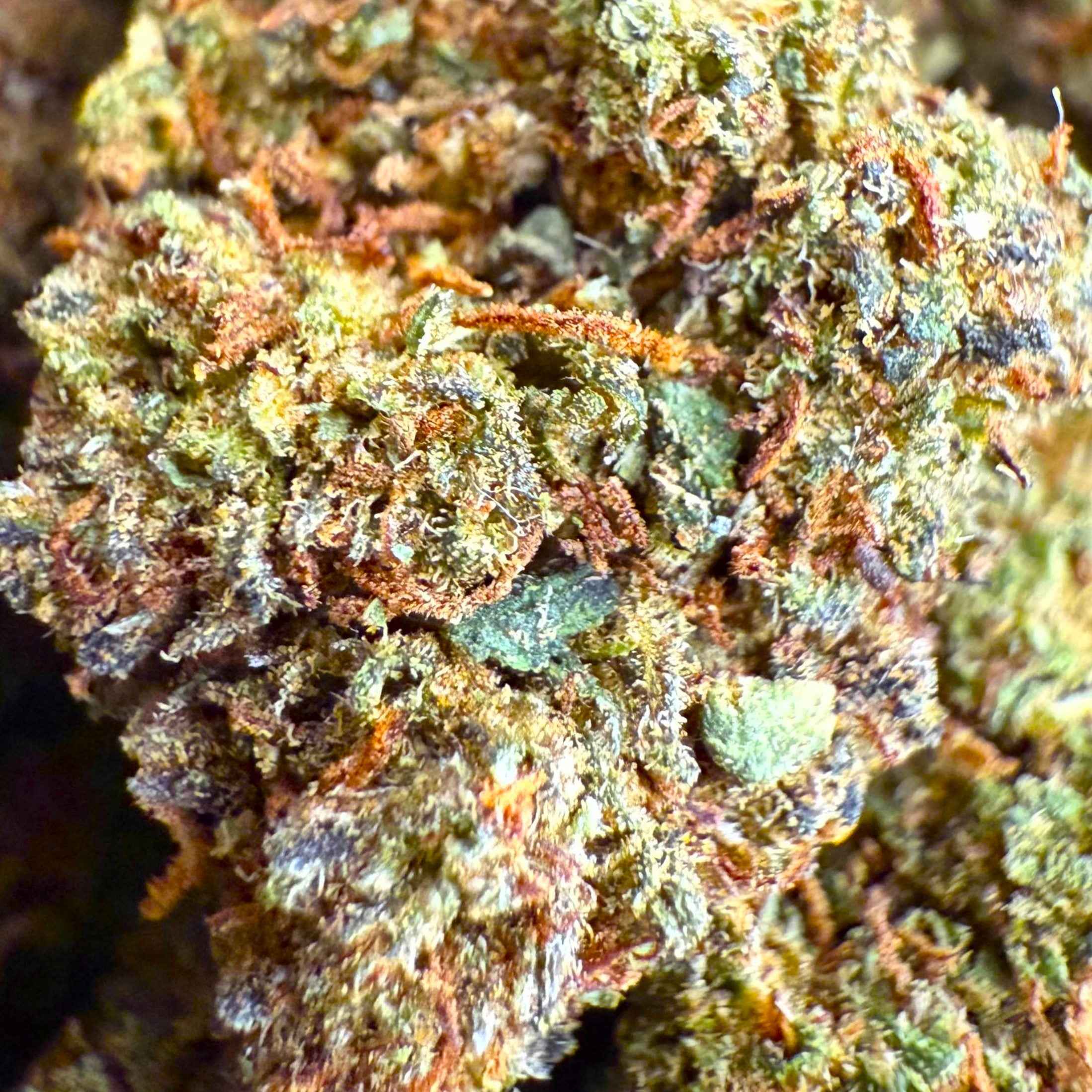 Biscotti THC-X 15% - GlassHouse (Néo-Cannabinoïde)