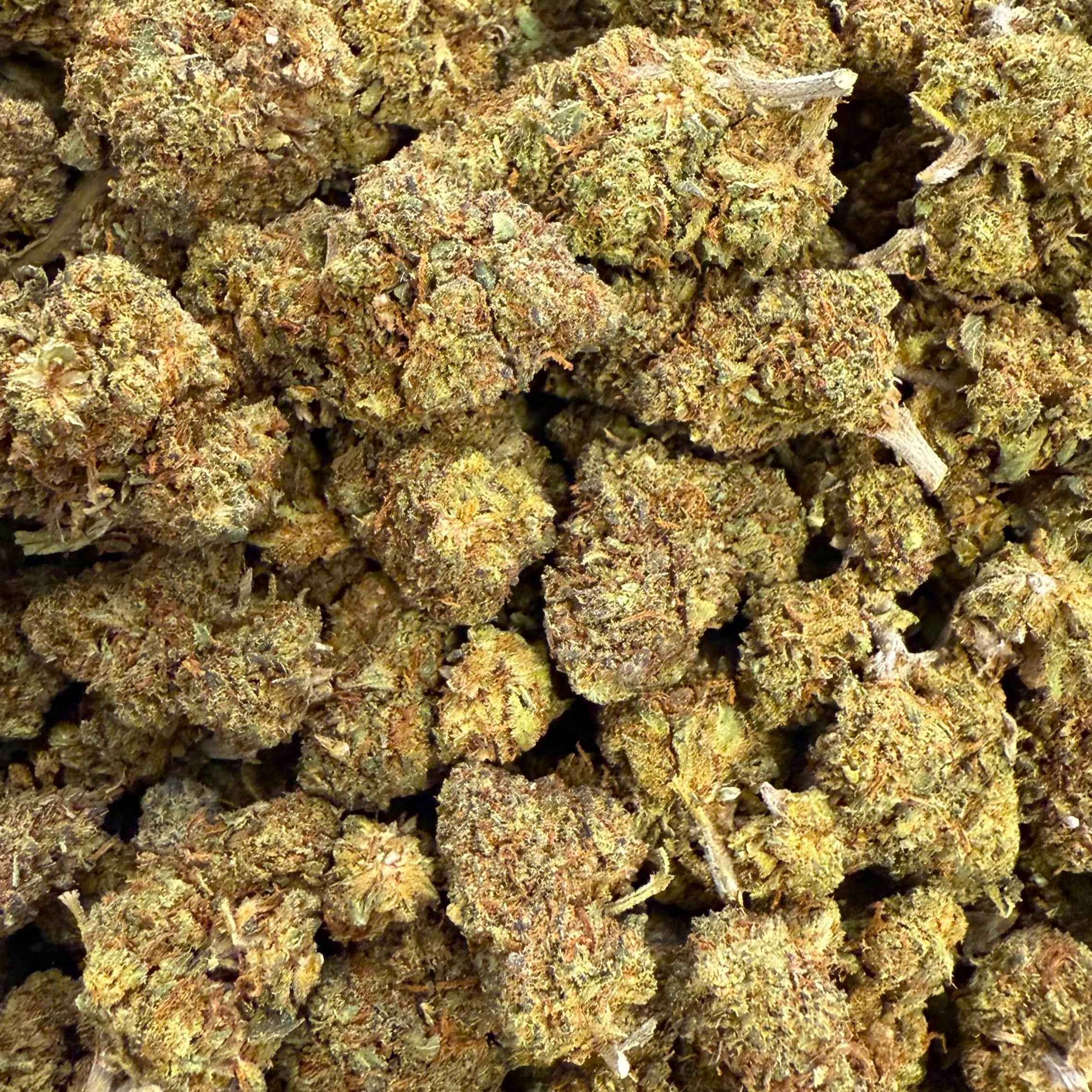 Biscotti THC-X 15% - GlassHouse (Néo-Cannabinoïde)