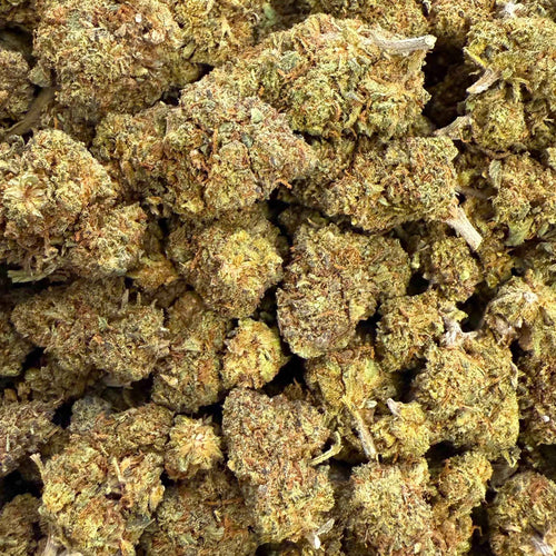 Biscotti THC-X 15% - GlassHouse (Néo-Cannabinoïde)
