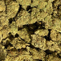 Blueberry Kush HPC & CBD 15% - Sans THC - Indoor (Néo-Cannabinoïde)
