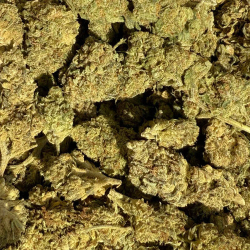 Blueberry Kush HPC & CBD 15% - Sans THC - Indoor (Néo-Cannabinoïde)