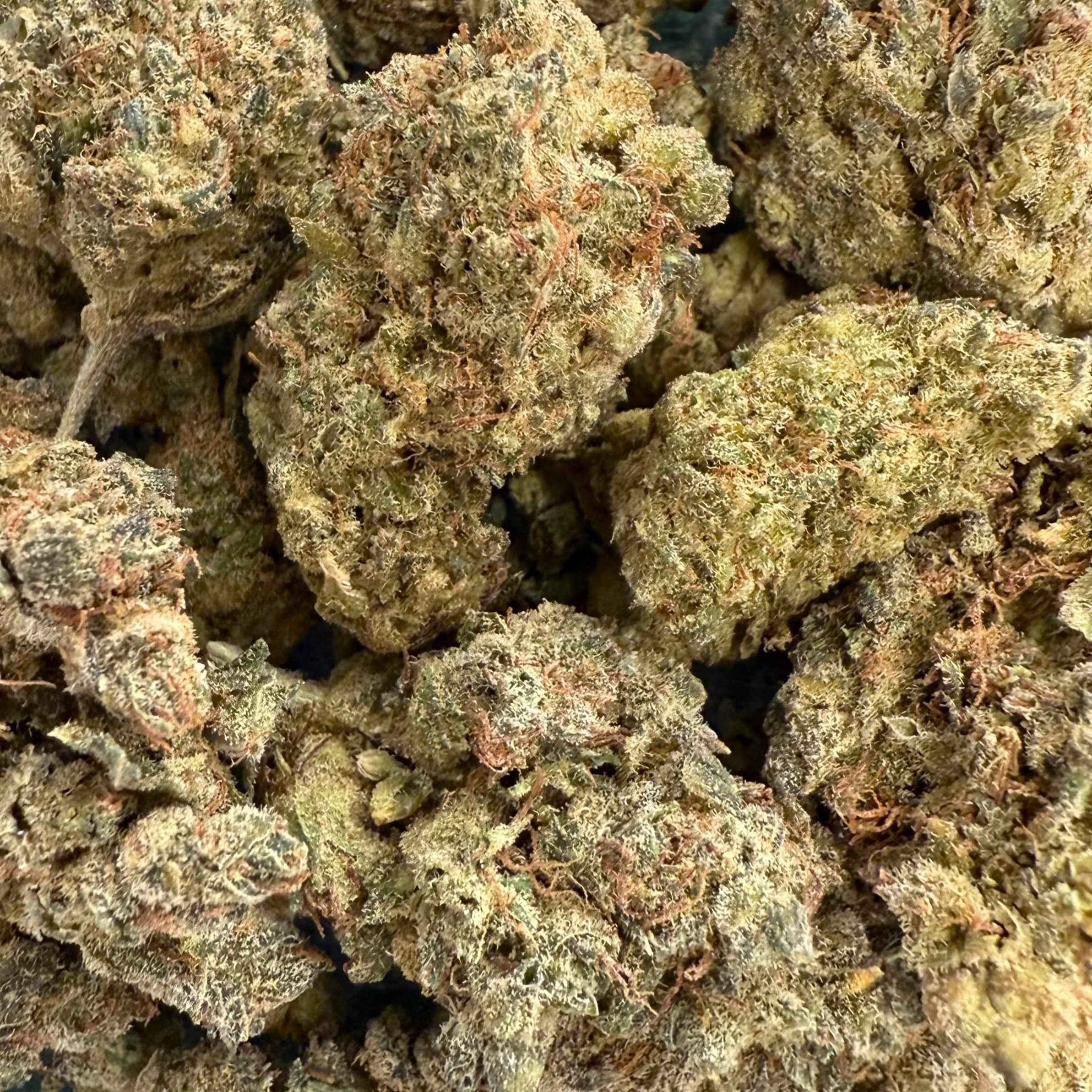 Charlotte's Angel CBN 30% - Hydroponique