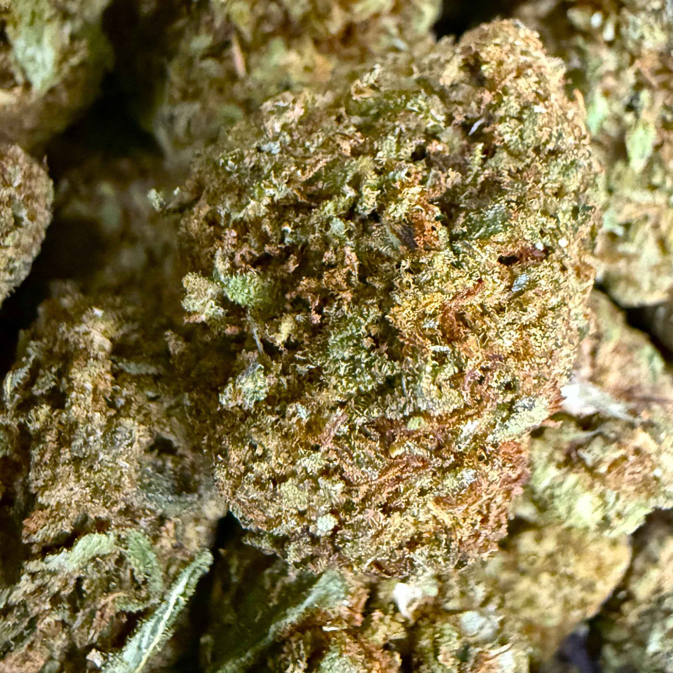 Critical Power THV-N10 - (Néo-cannabinoïde)