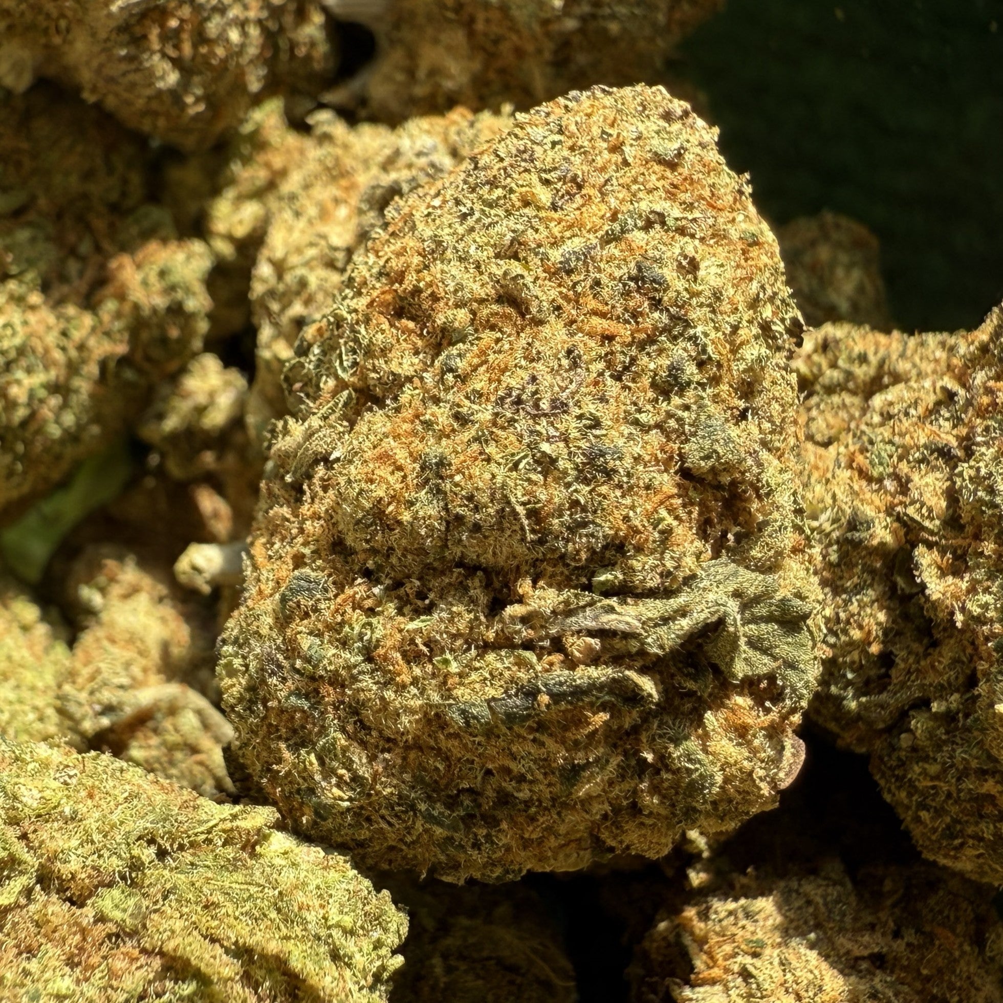 Cali US Zkittlez CBD 20% - Hydro
