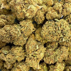 Harlequin CBD 15% - Indoor