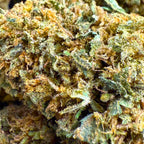 Harlequin CBD 15% - Indoor