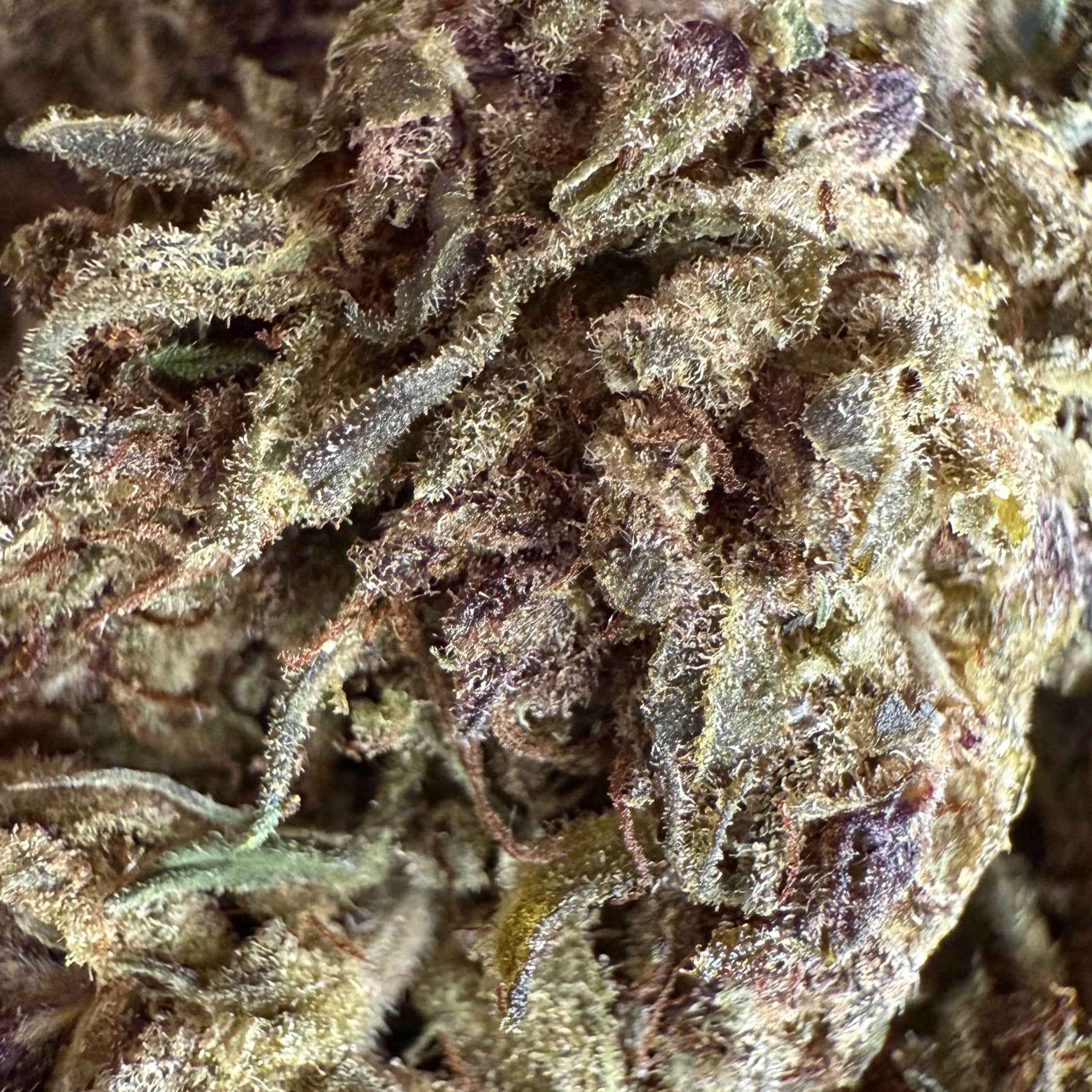 Blue Dream CPR 30% - Indoor (Néo-Cannabinoïde)