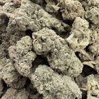 Jack Herer 15% CBD - Sans THC - Indoor